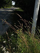IMG_4734
