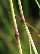 IMG_4740