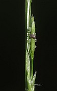 IMG_1305