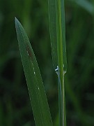 IMG_1535