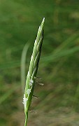 IMG_5127
