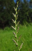IMG_9550