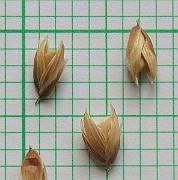 IMG_5053
