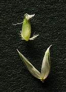 IMG_4555b