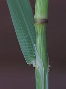 IMG_4577