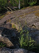 IMG_4584