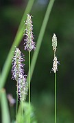 IMG_0034