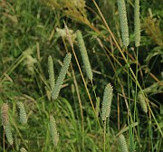 IMG_0179b