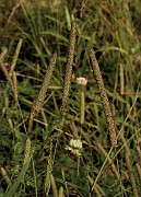 IMG_0506