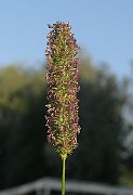 IMG_3728