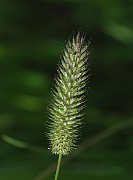 IMG_6150