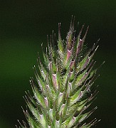 IMG_6150b