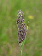 IMG_7574