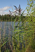 IMG_1938