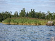 IMG_3500