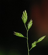 IMG_3989
