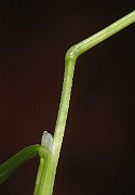 IMG_3991