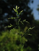 IMG_4011