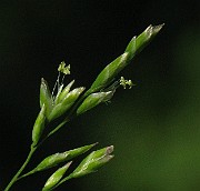 IMG_4013