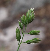 IMG_8492