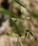 IMG_5828