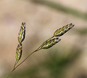 IMG_5830
