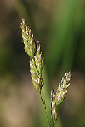IMG_5833