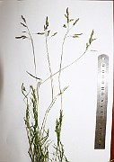 IMG_5909