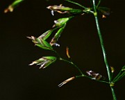 IMG_9948b