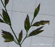 IMG_9991