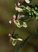 IMG_1739