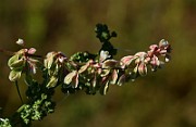 IMG_1740