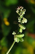 IMG_2888