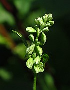 IMG_2890
