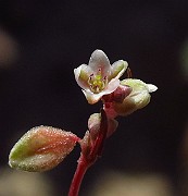 IMG_3909