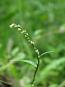 IMG_2537