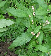IMG_2557