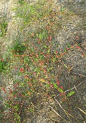 IMG_4830