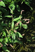 IMG_5553