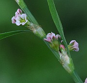 IMG_3680