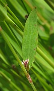 IMG_6161