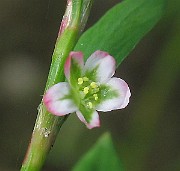 IMG_6614c