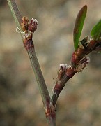 IMG_3929