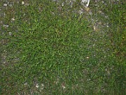 IMG_3964