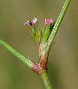 IMG_9170