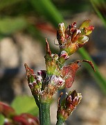 IMG_5809