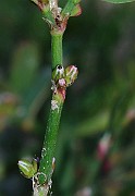 IMG_6082