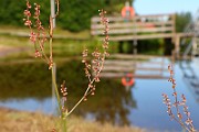 IMG_1004