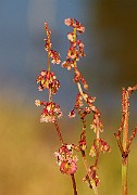 IMG_1008