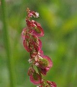 IMG_6301c